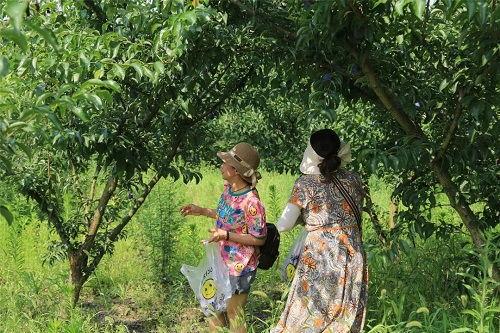 王家沟网红,网红打卡地，探寻古村魅力新篇章