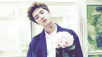 明星他,揭秘明星背后的故事与魅力