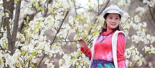 四棵柳网红,揭秘网红打卡地的魅力与故事”