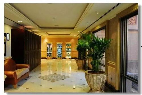 酒店接待明星客房布置,明星客房的奢华布置揭秘