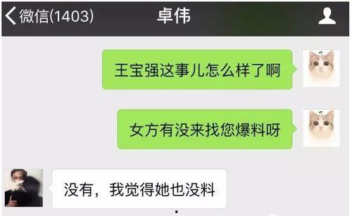 最新橙皮爆料视频,游戏新内容与玩法前瞻