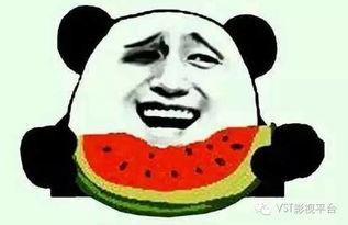 带你吃瓜动物补全,揭秘动物界的趣味故事与奇闻异事