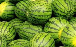 吃瓜网每日大赛合集,精彩赛事一网打尽