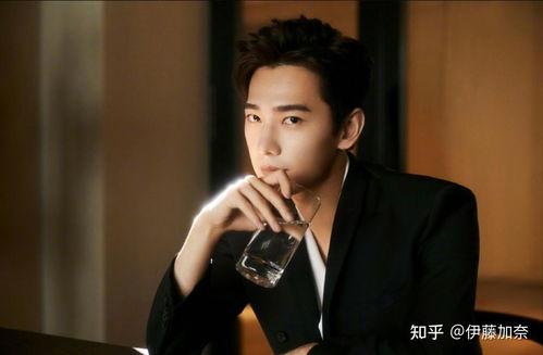 杨洋和明星,明星阵容闪耀璀璨之夜