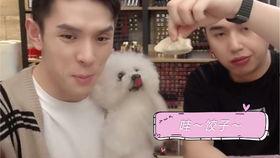 殴姓女明星,璀璨星途与幕后故事