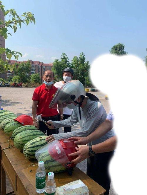 河北最新吃瓜事件,揭秘背后惊人真相