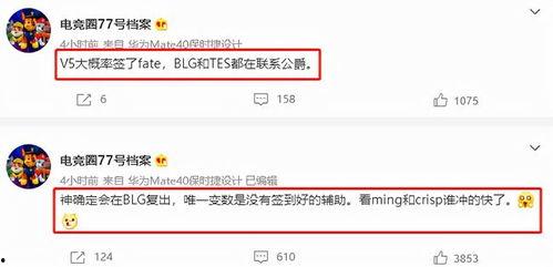 s11转会期最新爆料是什么,战队阵容大洗牌，顶级选手动向揭秘