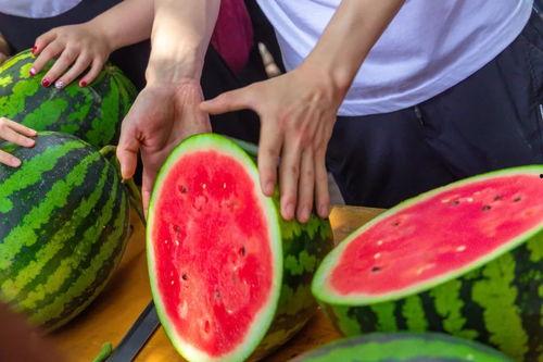 吃瓜免费sp,带你领略轻松娱乐新体验