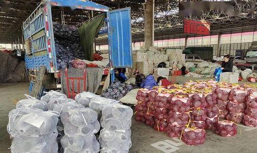 寿光侯镇吃瓜,瓜香四溢的田园美食之旅