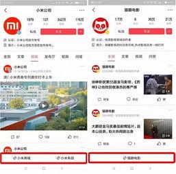 今日头条视频卖货推销,揭秘热门商品背后的销售秘诀