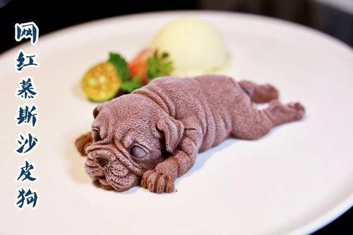 网红狗巧克力,萌宠界的明星传奇