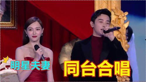 明星夫妻合唱的歌,明星夫妻深情合唱，共谱浪漫乐章