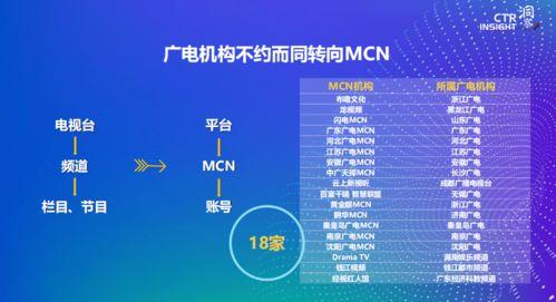 网红与mcn公司的案例,MCN公司助力下的跨界合作案例分析