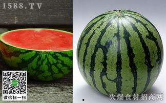 吃瓜配方大全,吃瓜配方大全大揭秘