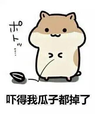 吃瓜观众和吃瓜群众区别,揭秘网络围观现象的异同