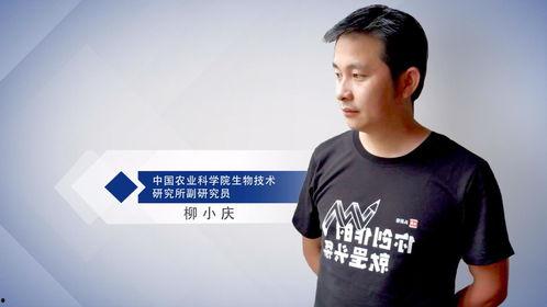 柳小庆头条号,揭秘生活点滴，探寻人生智慧