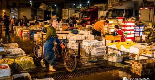 浙江义乌早市新闻头条,探寻义乌早市新动态