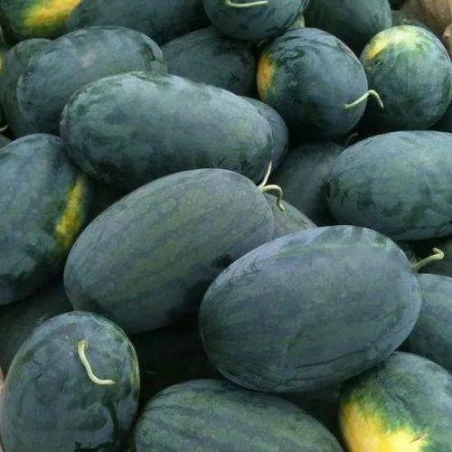 永杰吃瓜头像高清,揭秘网络红人的魅力瞬间