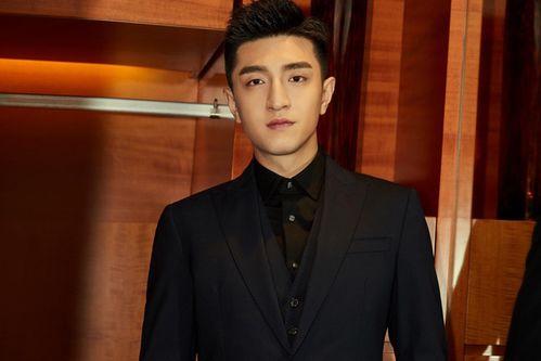 明星赵赫照片,光影中的璀璨明星