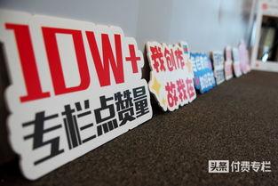 头条付费专栏电脑能看吗,头条付费专栏电脑端观看攻略