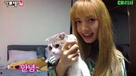 黑暗lisa吃瓜,揭秘娱乐圈背后的秘密