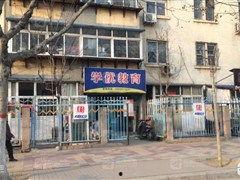 开封顺河头条号,历史与现代交融的繁华画卷