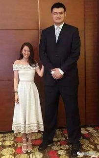 姚明跟明星合影图片