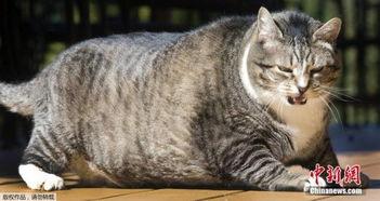 网红级标题,如何吸引眼球，引爆流量