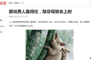 头条拍卖视频搞笑,搞笑视频引网友爆笑连连