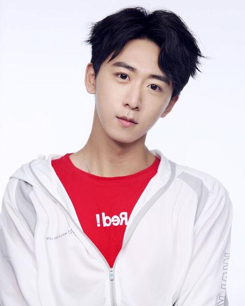 明星李星辰,李星辰的璀璨星途