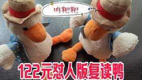 网红怼人鸭,网络风云中的麻辣点评