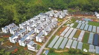 江宁瑞金新村新闻头条,聚焦社区发展新篇章