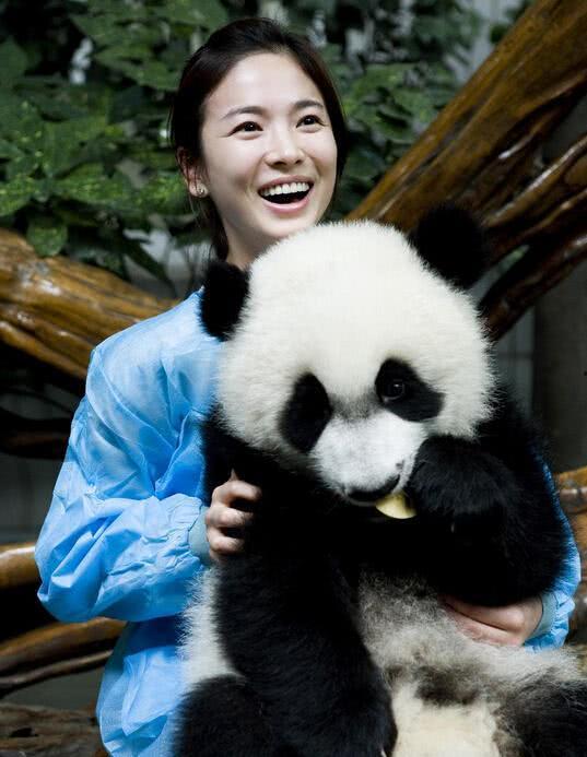 叶子 熊猫 油桶猜明星,揭秘明星背后的神秘故事